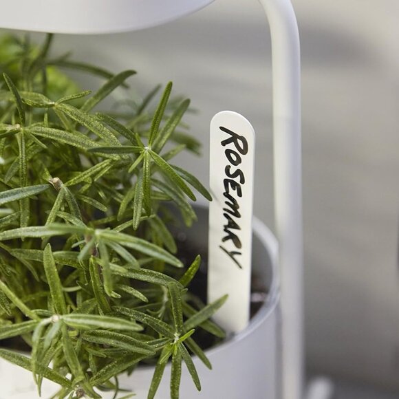 New in Box Umbra Giardino Indoor Herb Garden Set - Picture 6 of 14